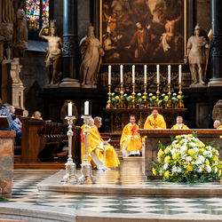 Priesterjubiläen / Erzdiözese Wien/Schönlaub