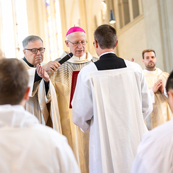 Erzdiözese Wien/Schönlaub, Stephan Schönlaub