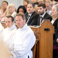 Erzdiözese Wien/Schönlaub, Stephan Schönlaub