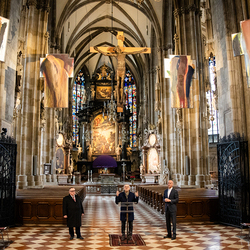 Erzdiözese Wien/Schönlaub