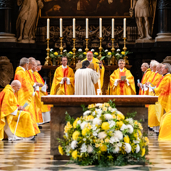 Priesterjubiläen / Erzdiözese Wien/Schönlaub