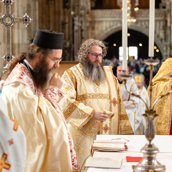 Priesterweihe Byzantinischer Ritus im Stephansdom / Erzdiözese Wien/ Schönlaub