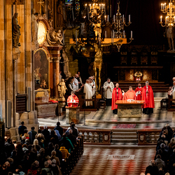 2025 Karfreitag / Erzdiözese Wien/Schönlaub