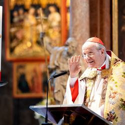 Te-Deum Papst Leo XIV / Erzdiözese Wien/Schönlaub, Stephan Schönlaub
