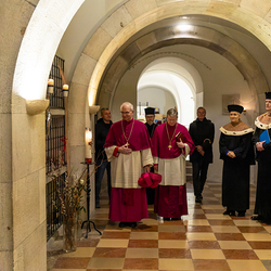 Dies Academicus 2024 / Erzdiözese Wien/Schönlaub