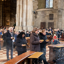 Stephanifest / Erzdiözese Wien/Schönlaub, Stephan Schönlaub