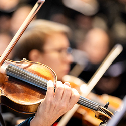 Stephanifest / Erzdiözese Wien/Schönlaub, Stephan Schönlaub